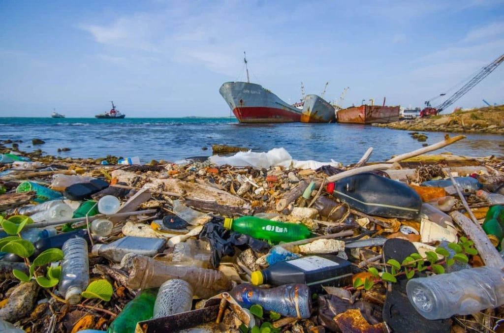 ¿Cómo afectan los compuestos químicos al medio ambiente?