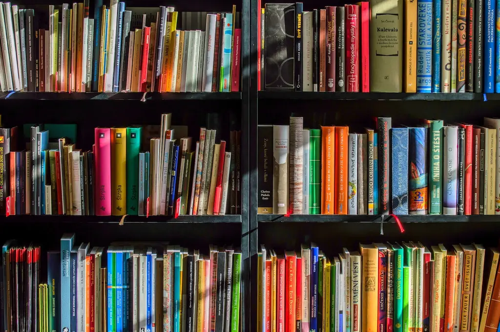 Mejora tu Concentración durante el Estudio: 10 Estrategias Efectivas