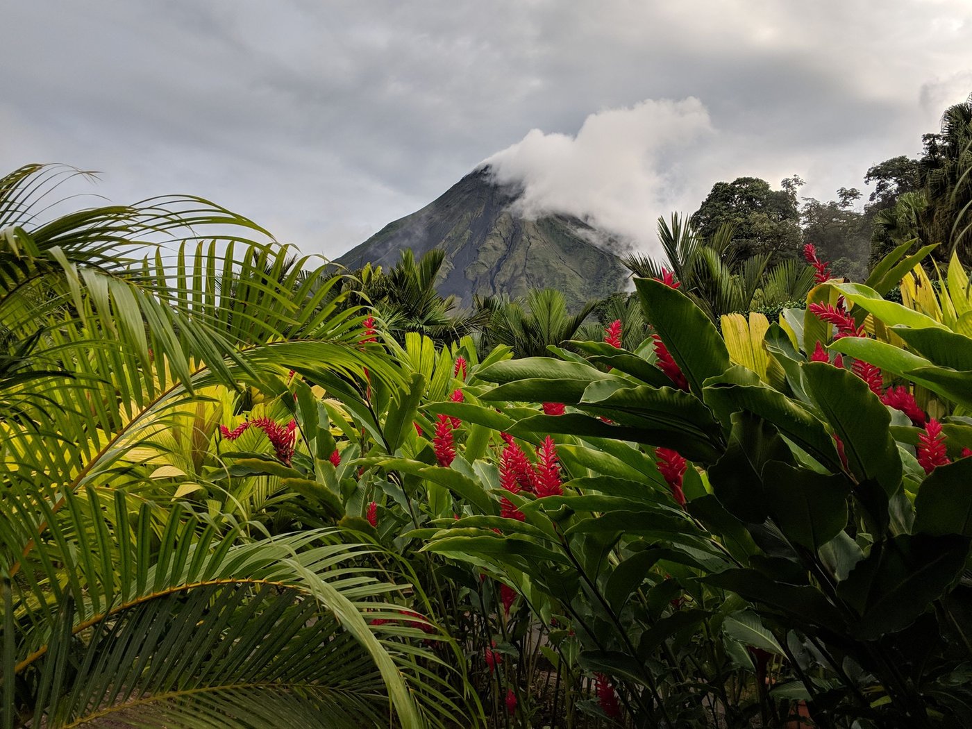 Vista escénica del Volcán Arenal rodeado de una vibrante selva tropical y flora tropical en Costa Rica.