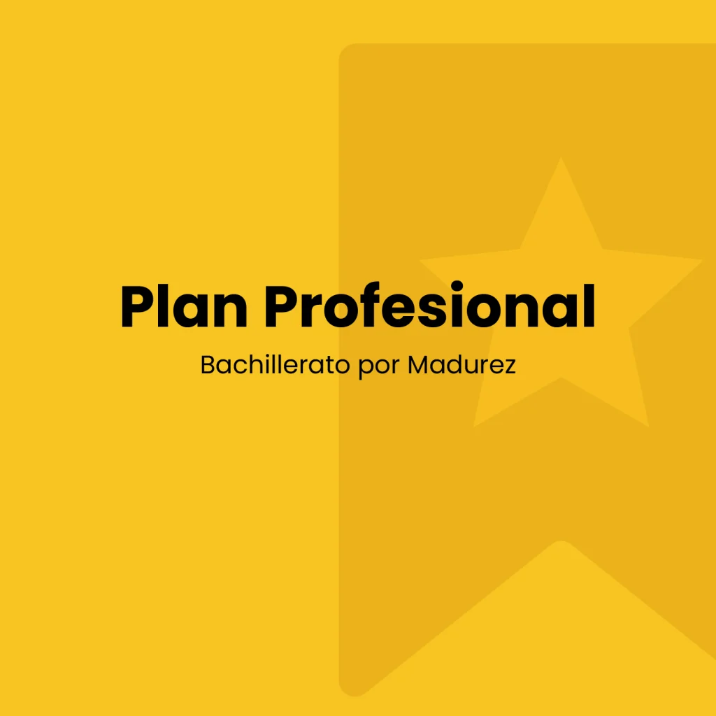 Plan Profesional de Bachillerato