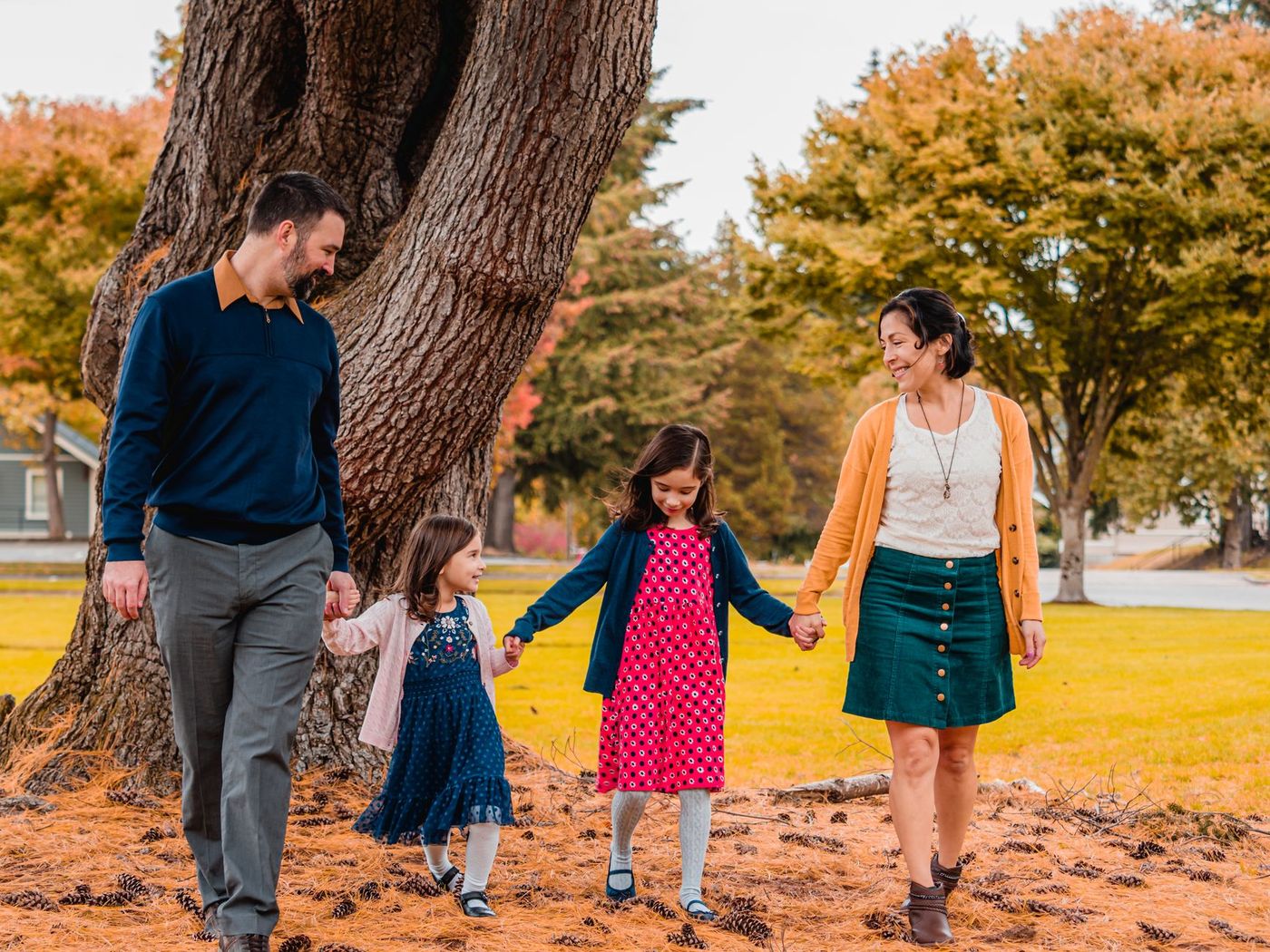 Familia de cuatro personas camina de la mano y sonríe en un parque otoñal junto a un gran árbol, con el suelo cubierto de piñas y agujas de pino.