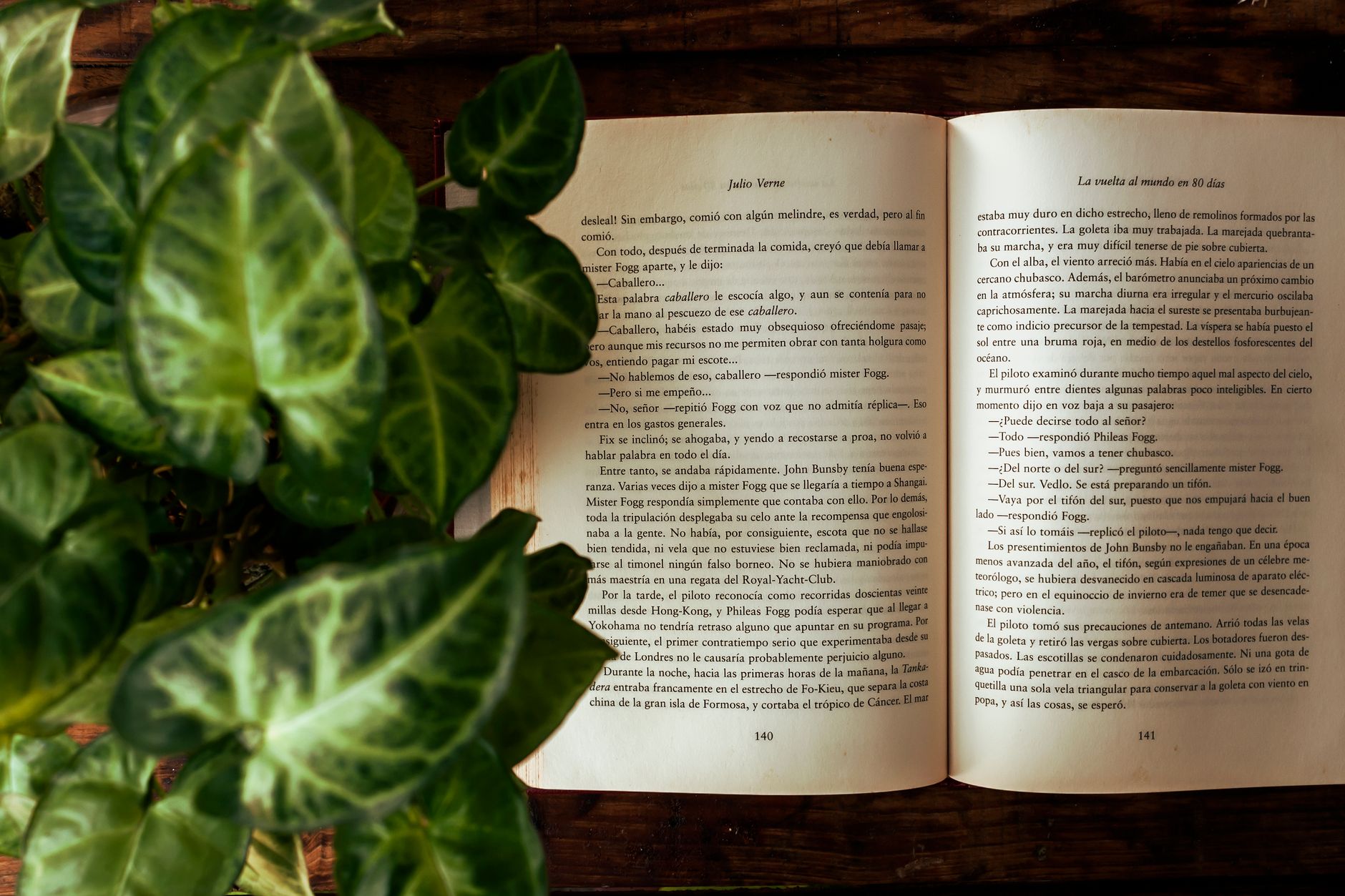 Libro abierto con planta en maceta verde sobre una mesa de madera, creando una atmósfera tranquila para leer.