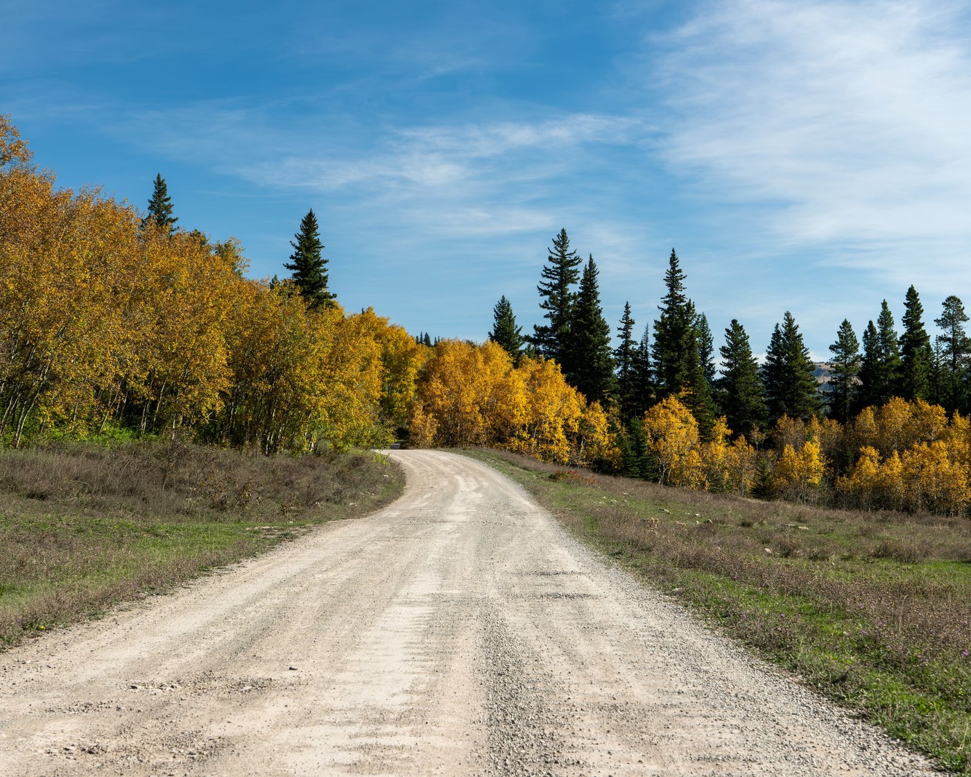 Un tranquilo camino de tierra que atraviesa un colorido bosque otoñal en Montana, Estados Unidos.