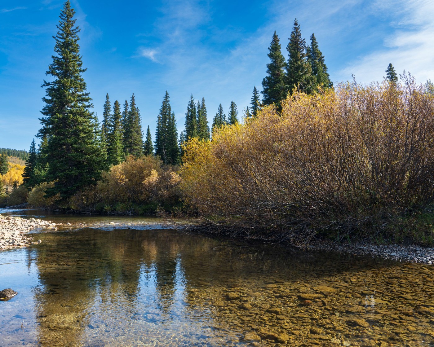 Un río tranquilo que serpentea a través de frondosos bosques de pinos en el sereno paisaje de Montana.