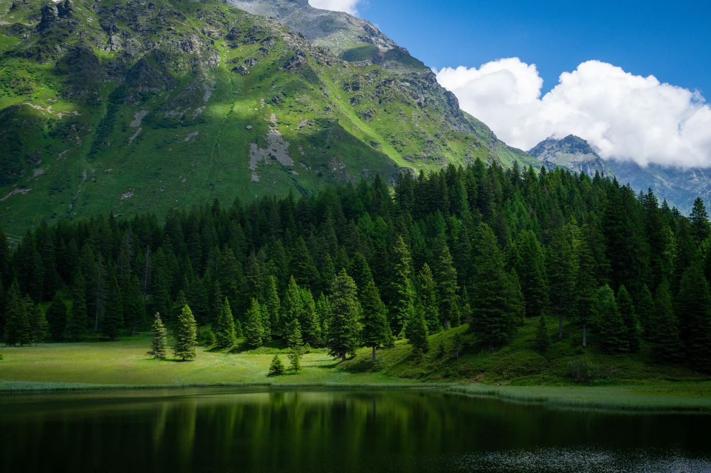Paisaje montañoso pacífico con bosque de coníferas y lago tranquilo bajo cielos de verano.