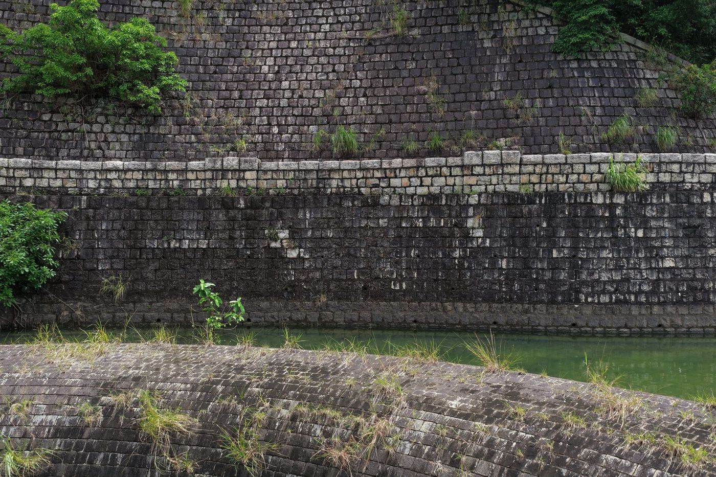 Muro de contención de piedra oscura con vegetación entre las juntas y agua verde al pie, junto a un talud empedrado.
