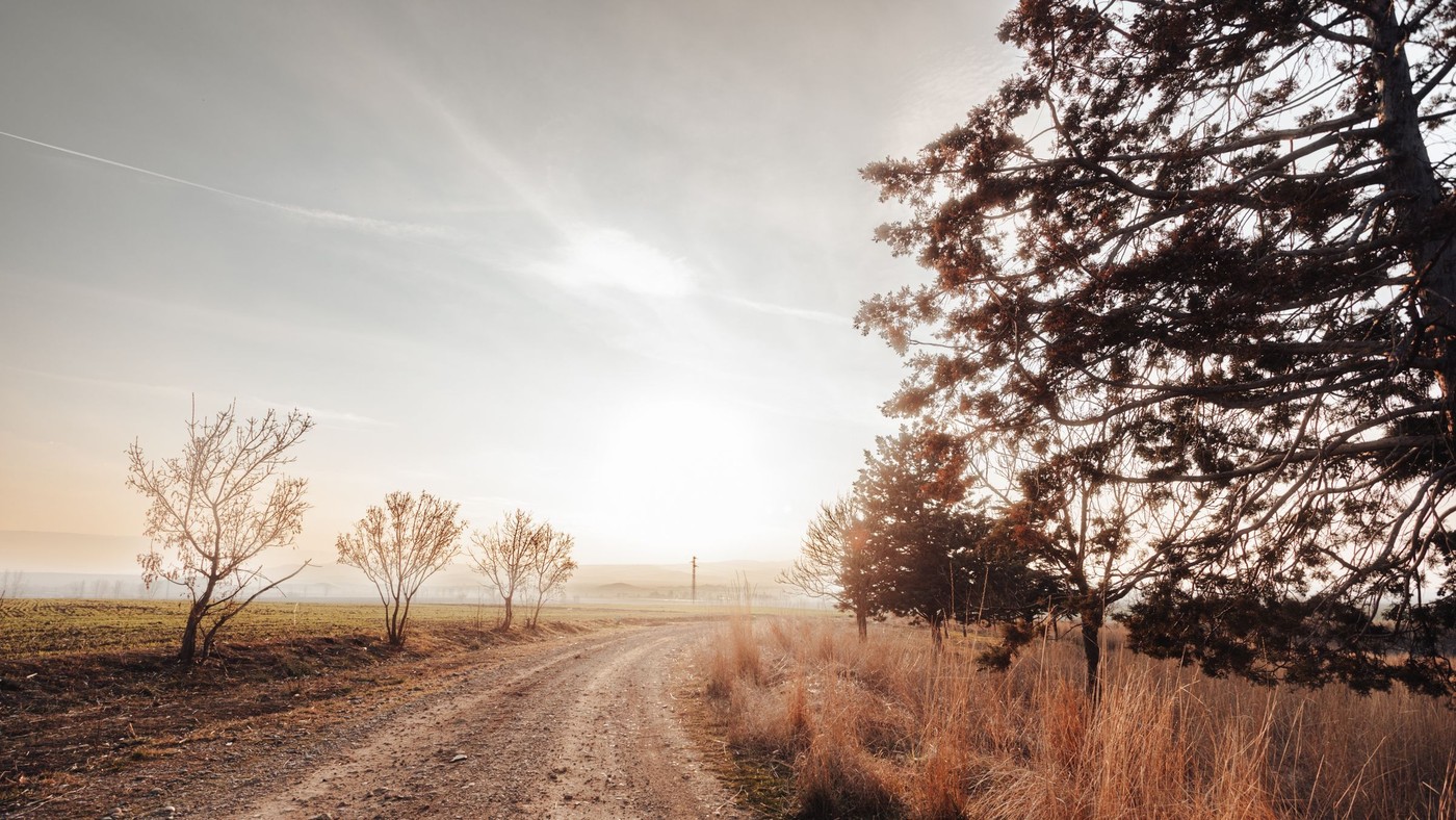 Idílico camino rural de tierra que serpentea por campos al amanecer, con árboles a lo largo del camino.