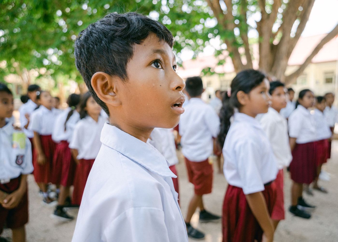 Niño de uniforme escolar blanco, de perfil, mira hacia arriba durante una formación al aire libre rodeado de compañeros bajo los árboles.