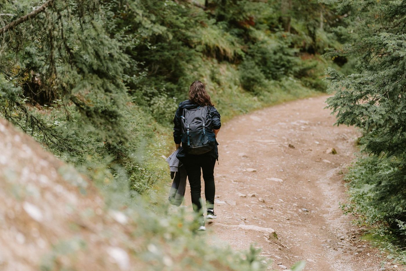 El Pasado Simple en Textos sobre Viajes y Naturaleza