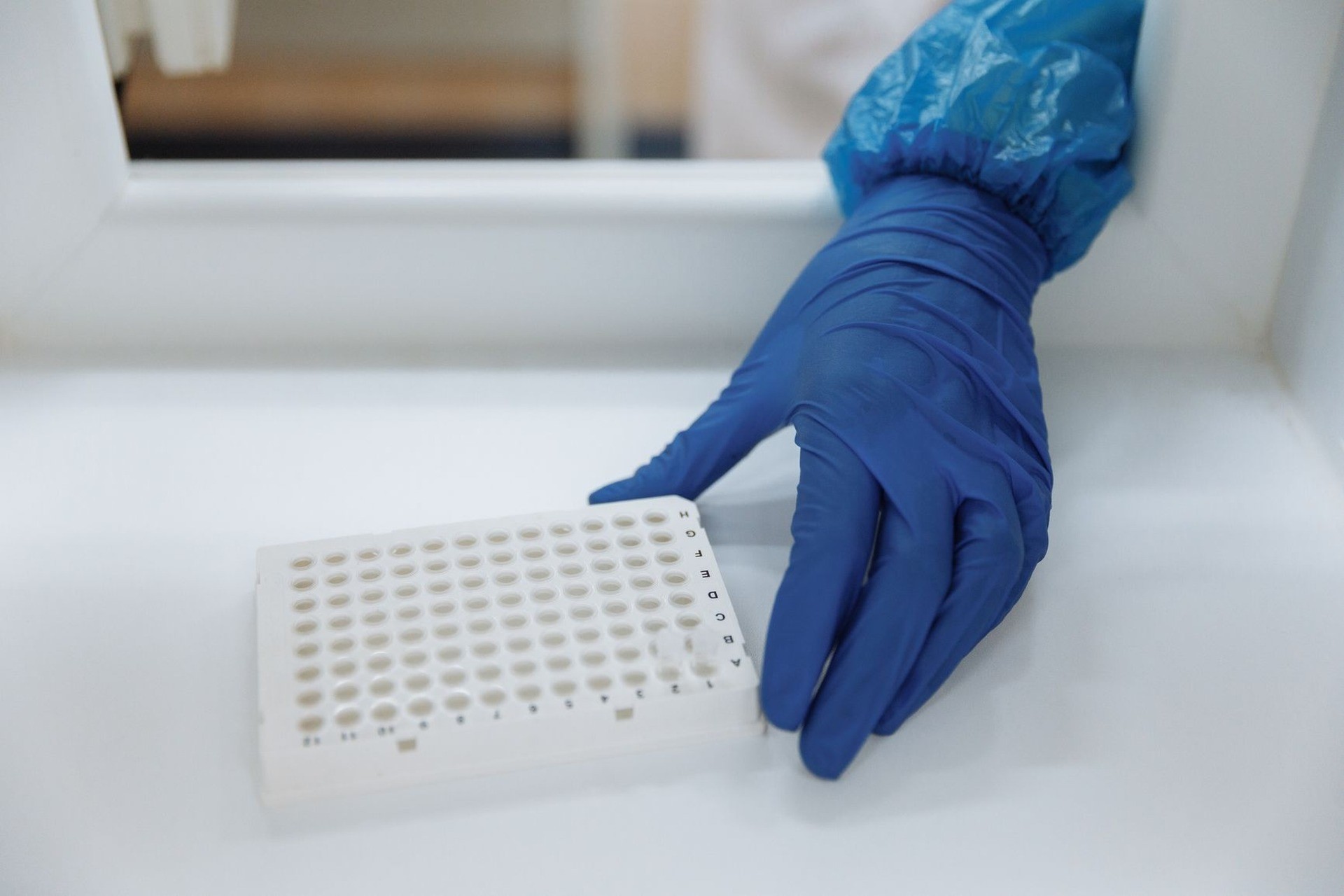 Mano con guante azul sosteniendo una placa de pocillos para PCR