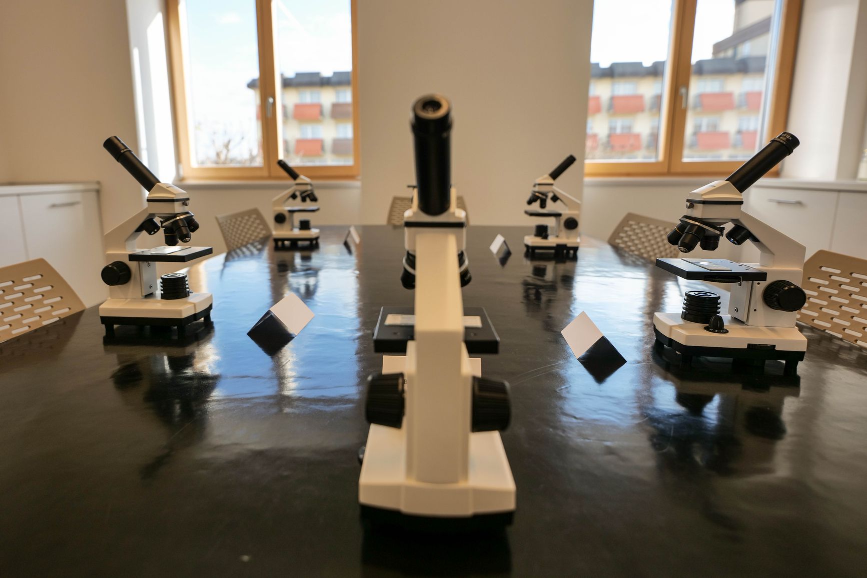 El microscopio óptico: de Hooke y Leeuwenhoek al microscopio electrónico