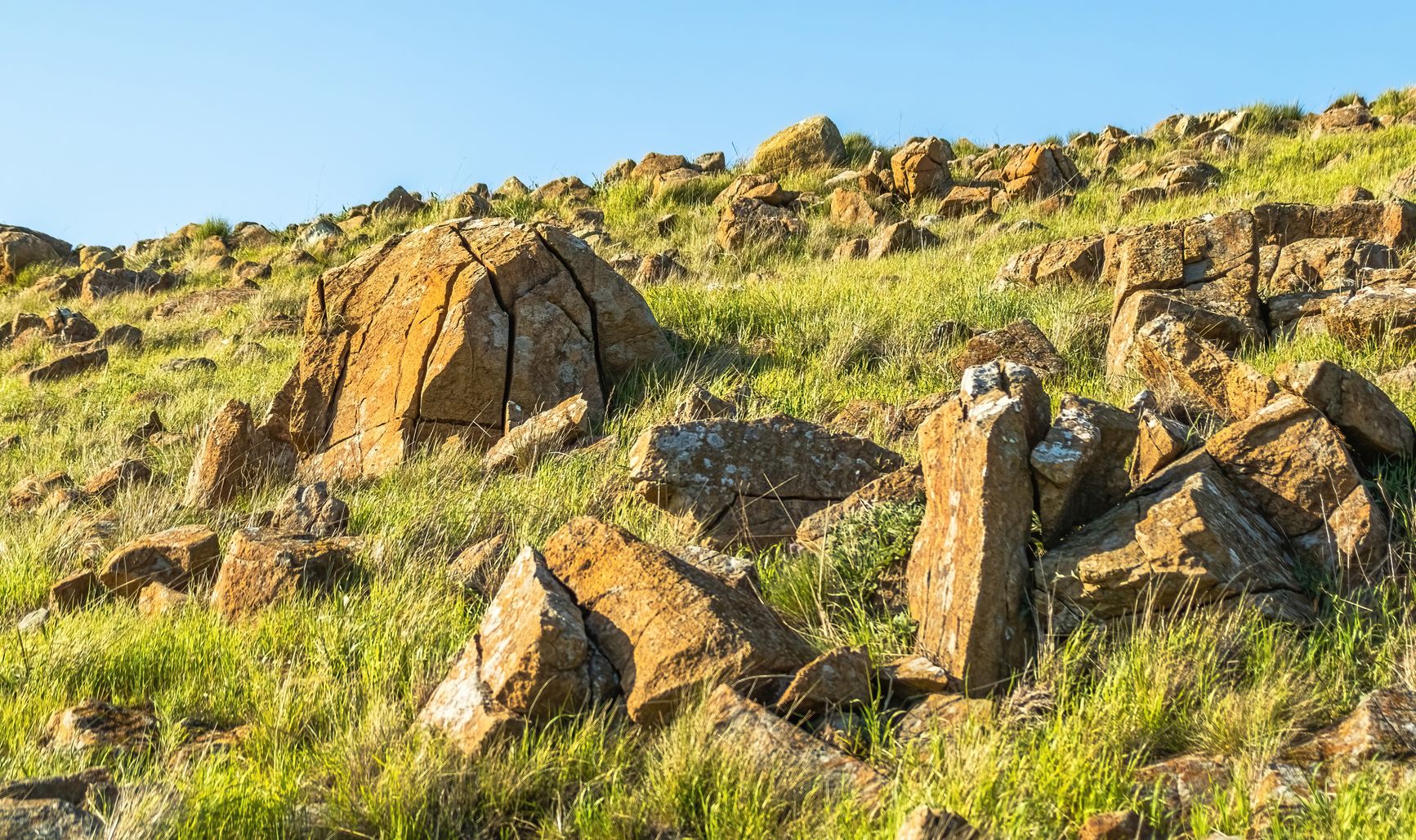 una ladera cubierta de césped con rocas grandes dispersas y fracturadas bajo un cielo azul claro