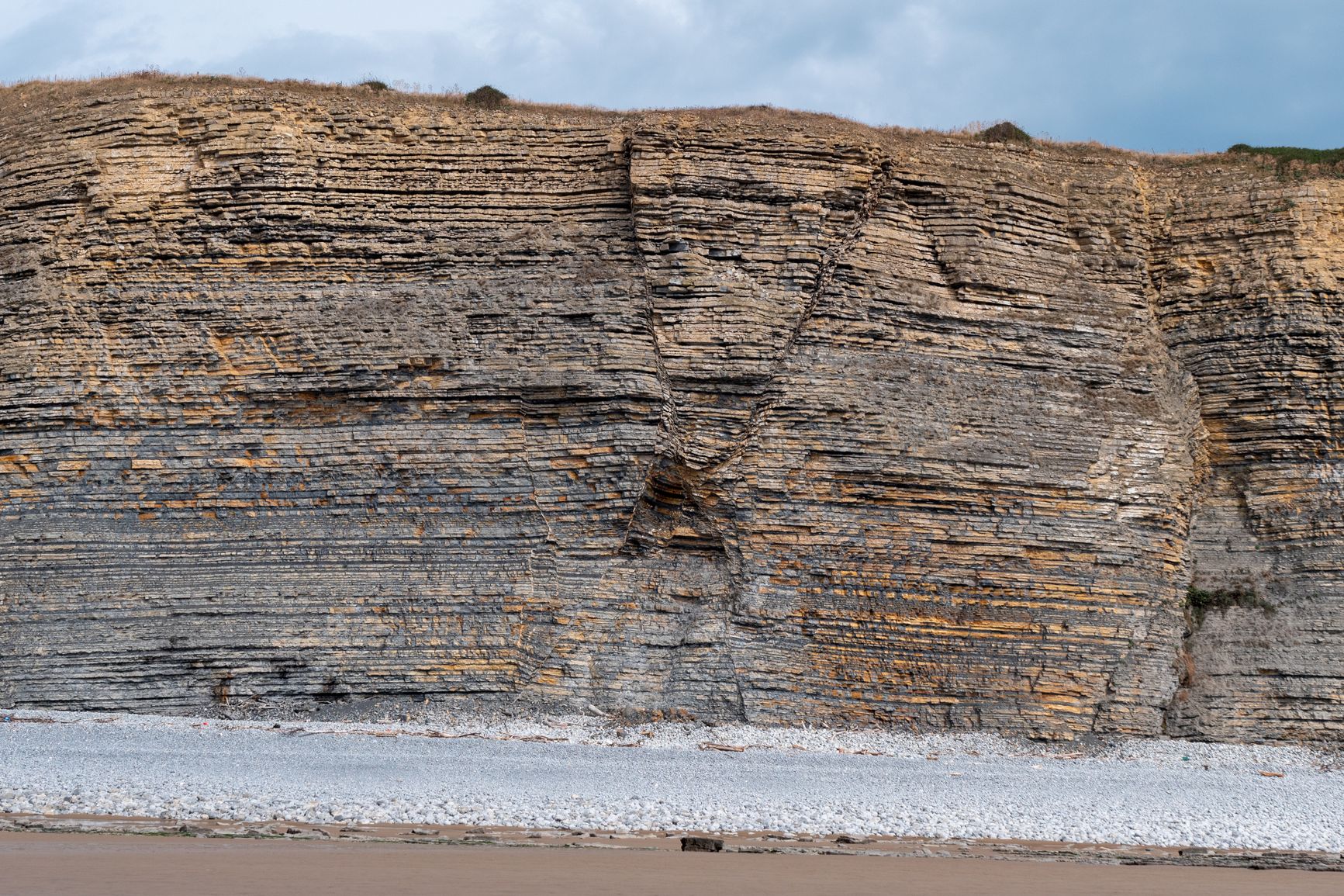 Rocas sedimentarias: estratos, fósiles y sedimentos