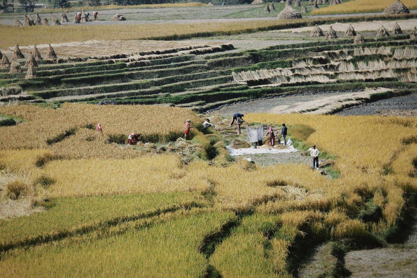 Pueblos preincas: economía y sociedad andina