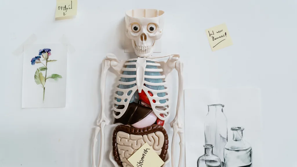 Cuerpo humano: sistemas, nutrientes, diabetes, alimentación saludable y prevención de enfermedades cardiovasculares
