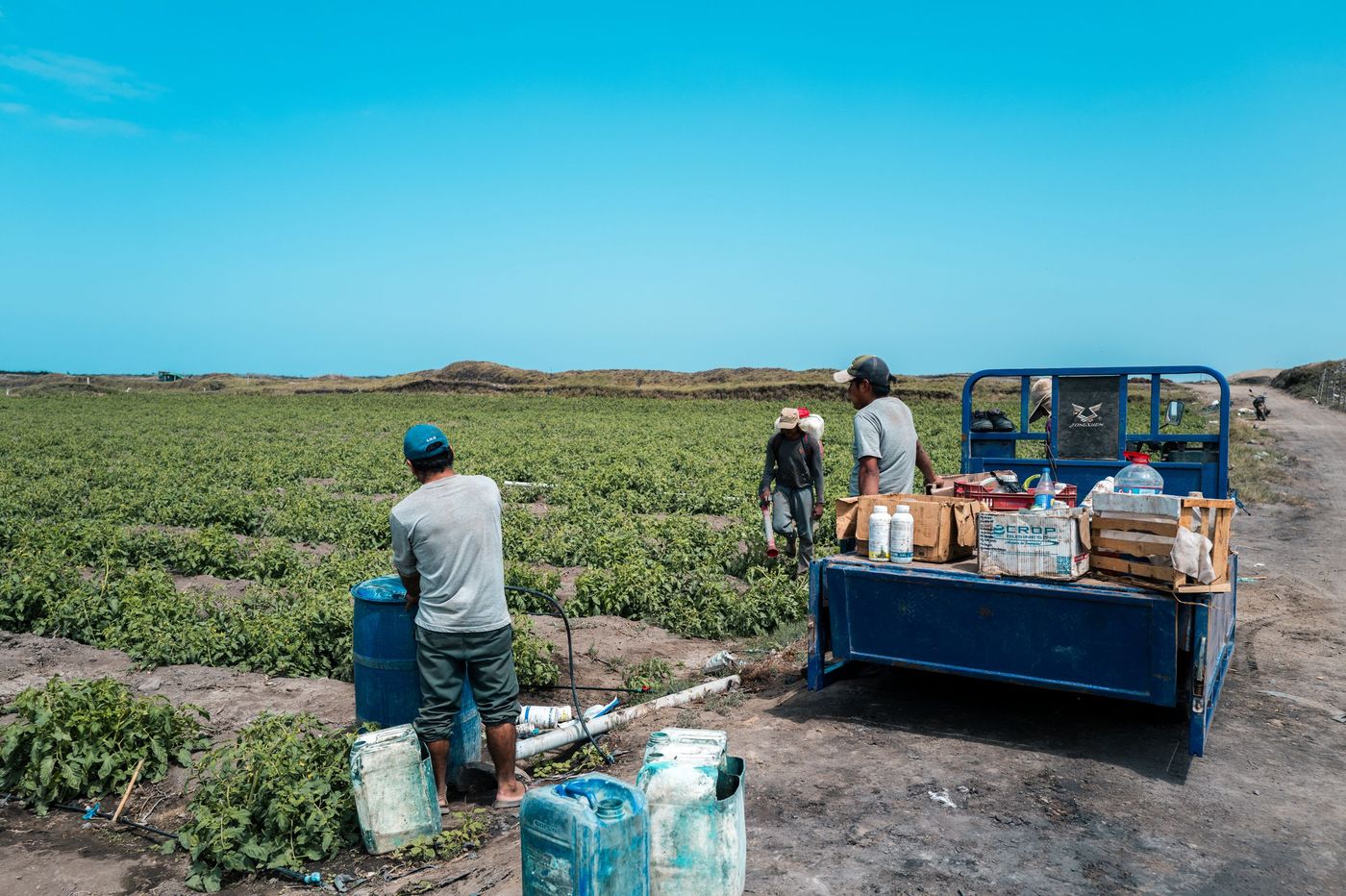 Población y ambiente: la huella del crecimiento