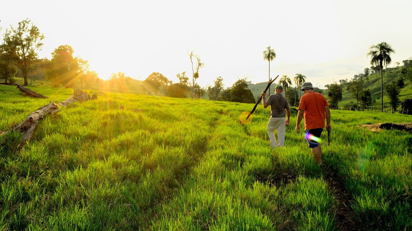 dos personas adultas caminan de espaldas entre los cultivos de un campo abierto