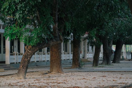 Discriminación cultural: respeto y convivencia en América