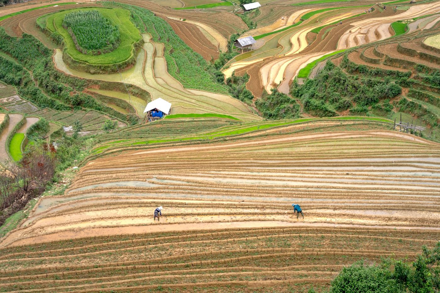 Seguridad alimentaria: retos de la producción de alimentos