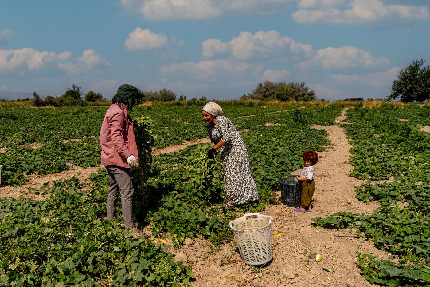 una familia campesina y una guía conversan junto a un huerto mientras revisan la cosecha
