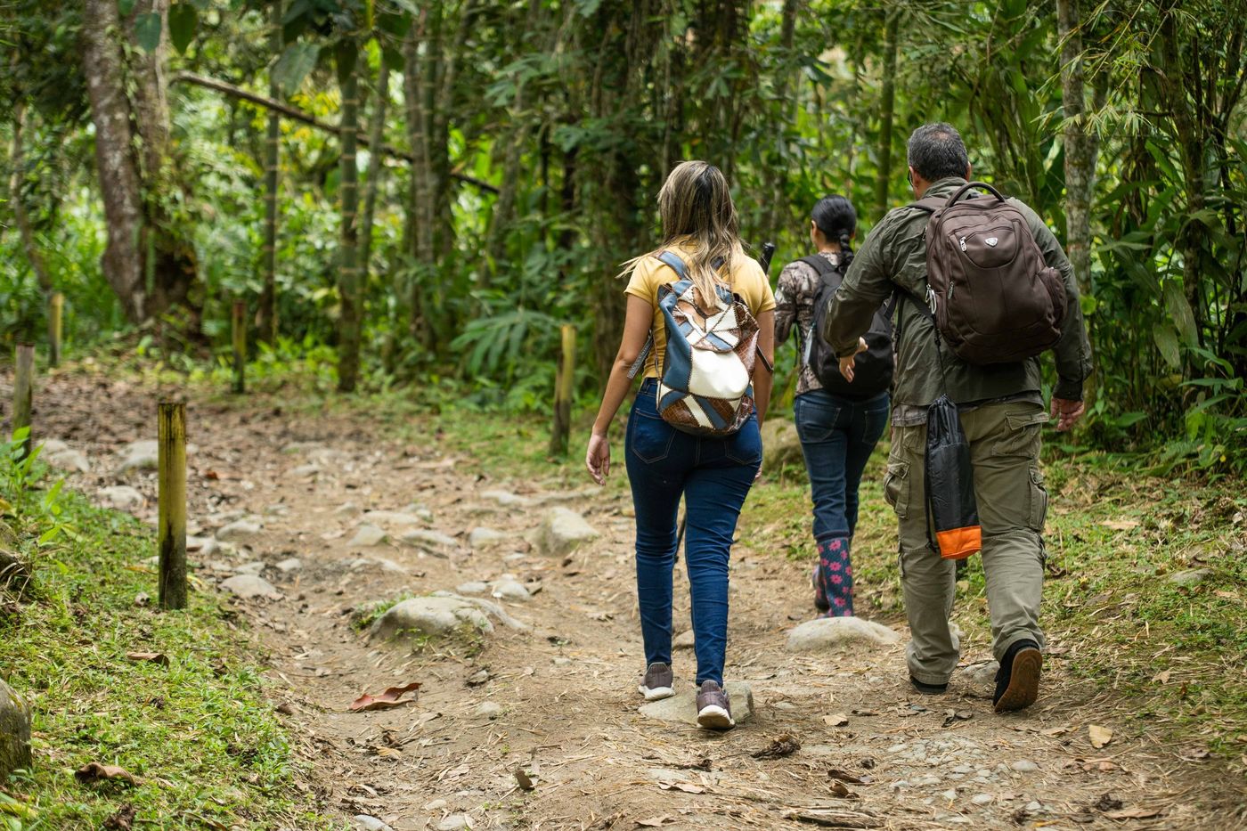 tres personas caminan de espaldas por un sendero de montaña enmarcado por vegetación alta