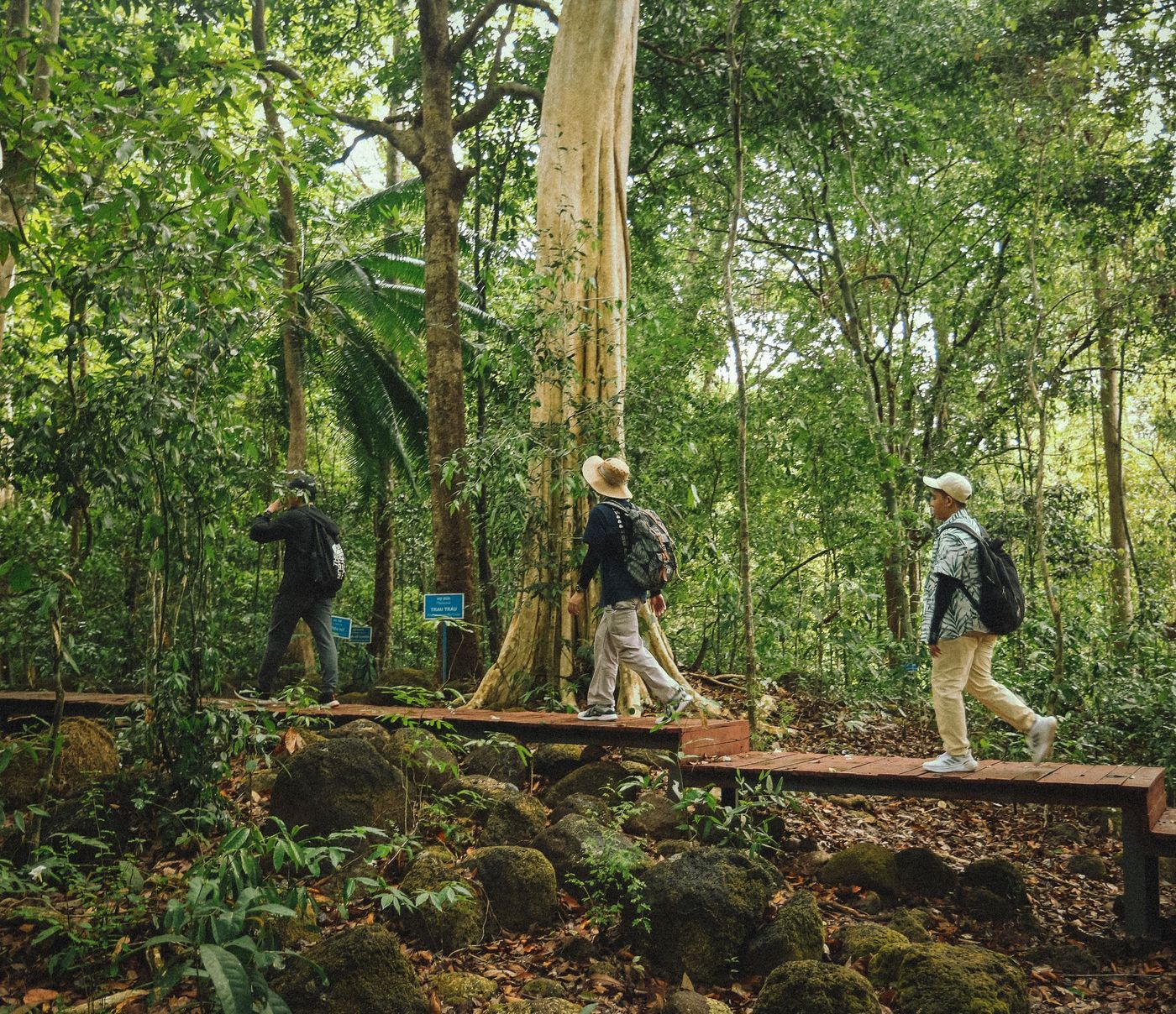 Regiones naturales y pisos térmicos de América