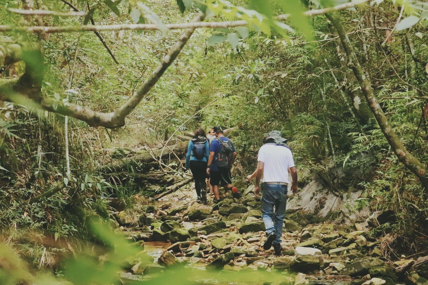 Áreas protegidas: conservar el patrimonio natural