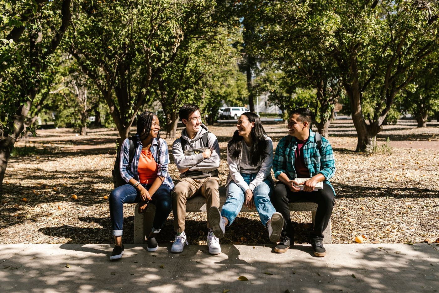 cuatro estudiantes conversan sentados a la sombra de un árbol en su comunidad