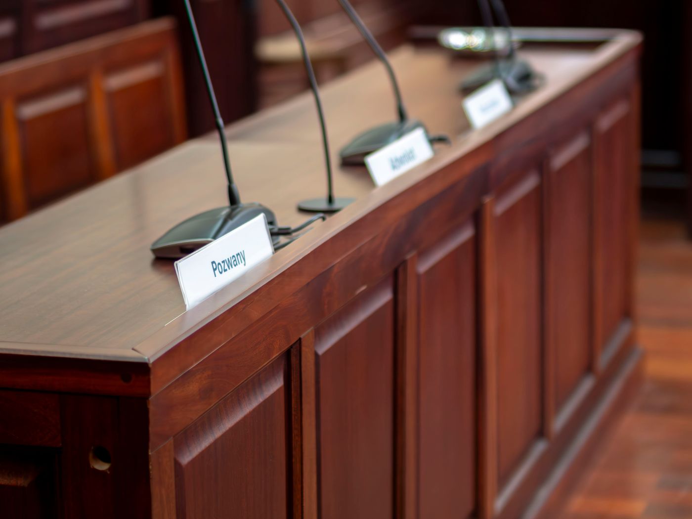 Democracia y constitución: derechos y deberes