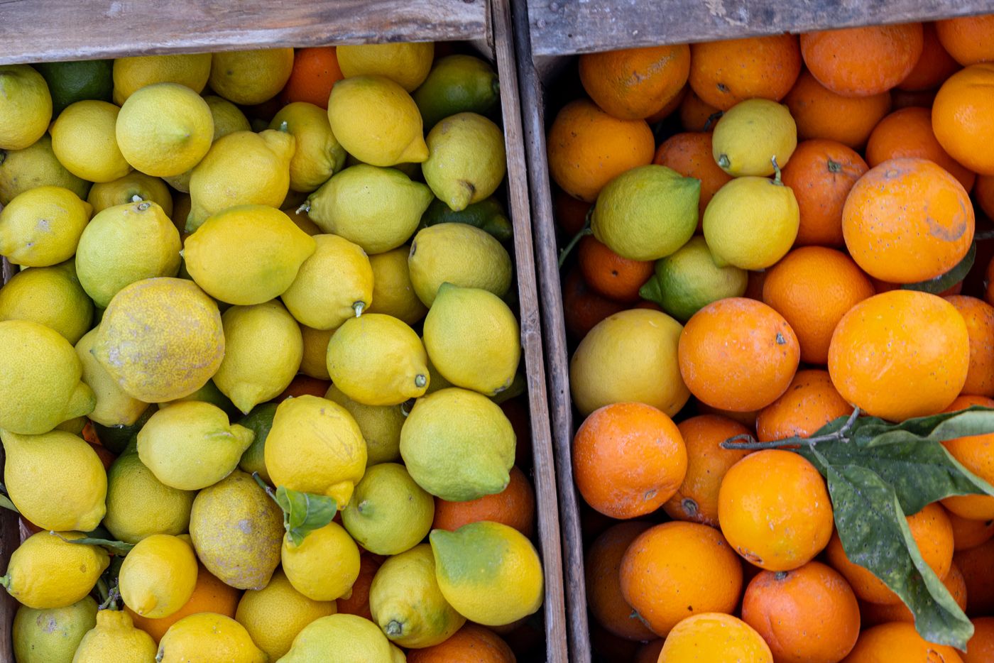 Precios y consumo: competencia y decisiones
