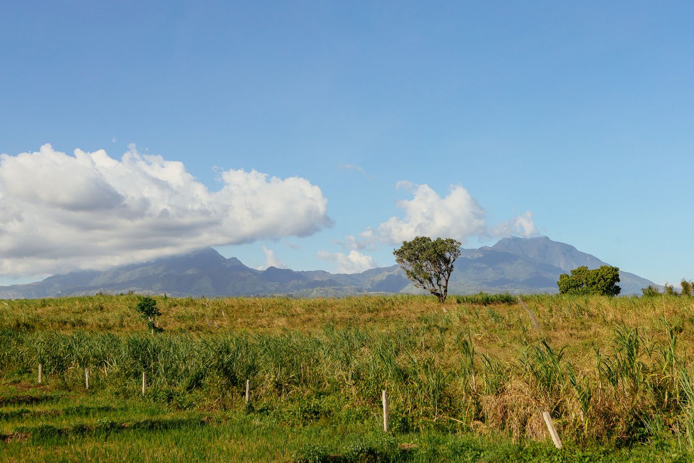 un paisaje rural con montañas al fondo