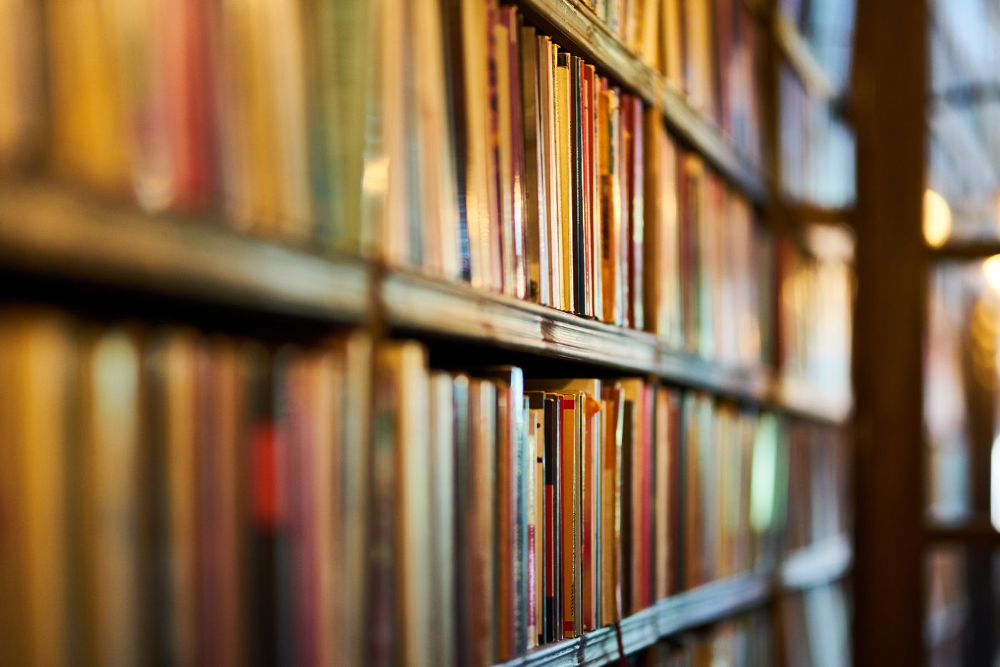 estanterías llenas de libros