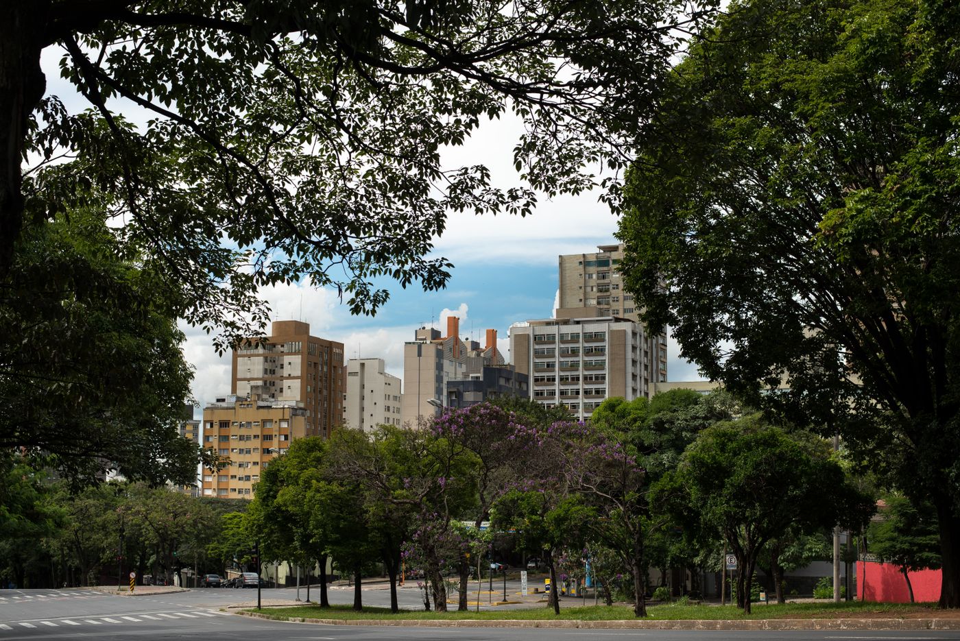 el horizonte de una ciudad moderna entre árboles
