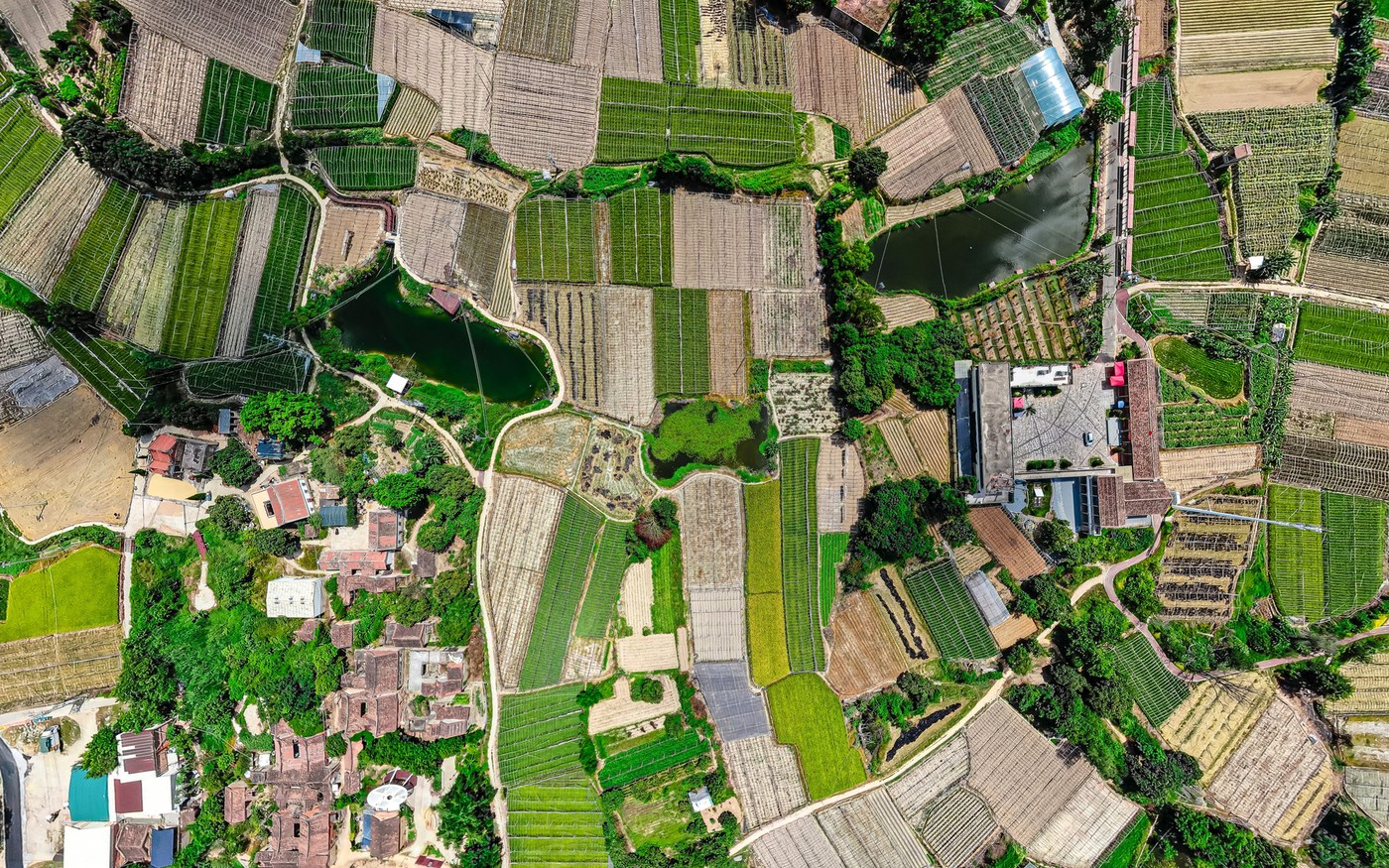 vista aérea de parcelas de cultivo con distintos colores y surcos