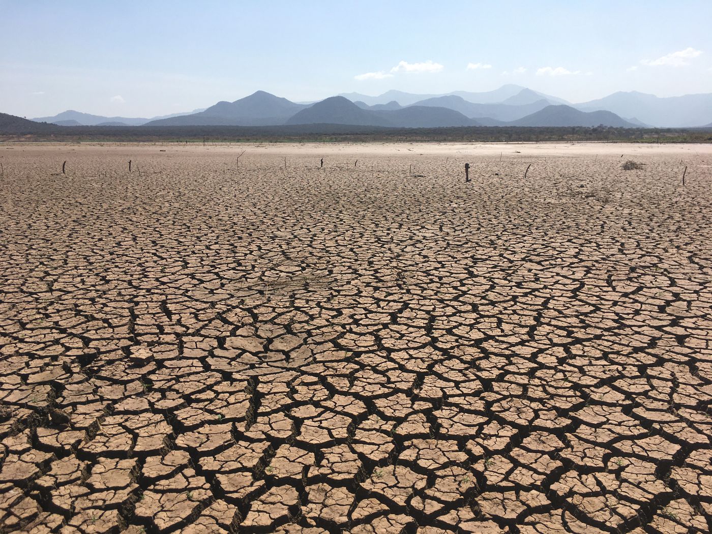 El calentamiento global y el agua: respuestas locales