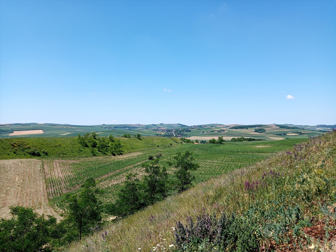 colinas con tierras de cultivo