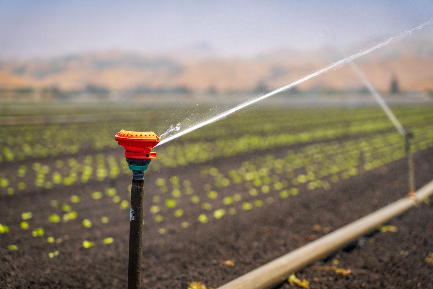 El agua dulce: un recurso escaso y compartido