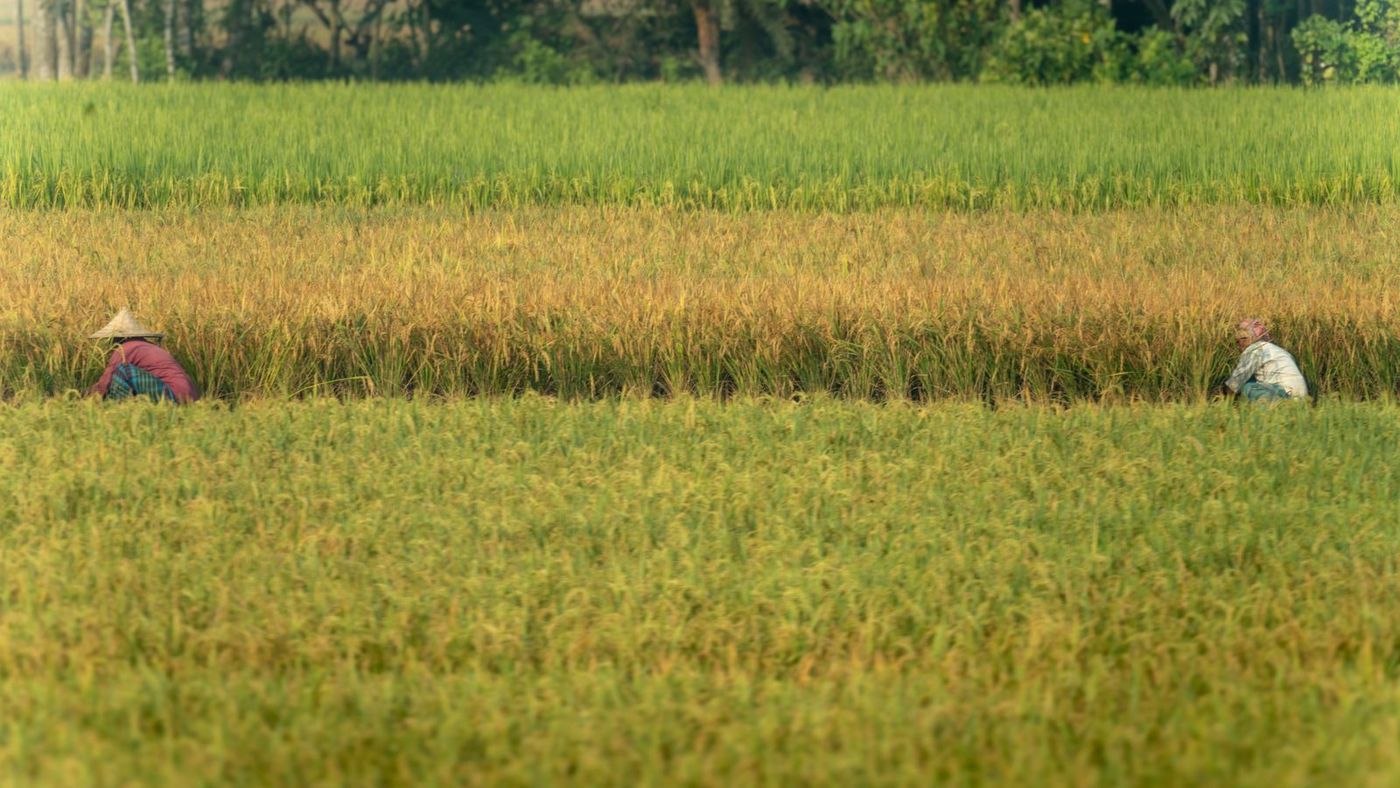 Pisos térmicos de Colombia y sus recursos naturales