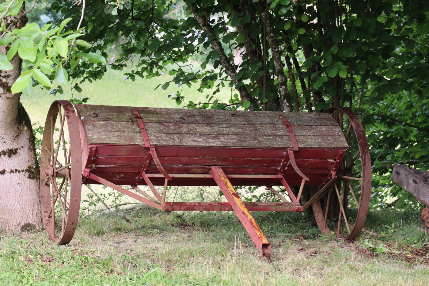 un carro de madera antiguo con las ruedas oxidadas junto a un árbol