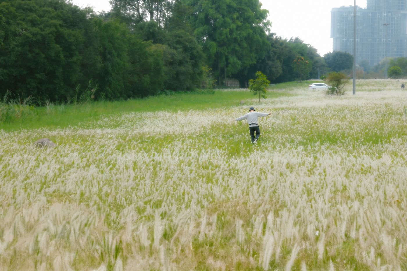 una persona camina por un amplio prado de hierba bajo un cielo despejado