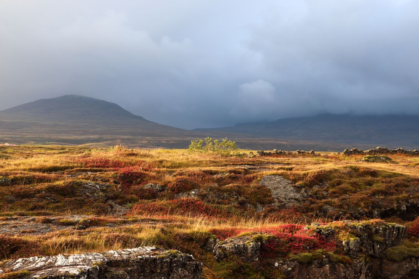 un paisaje de tundra con vegetación baja, rocas y colinas