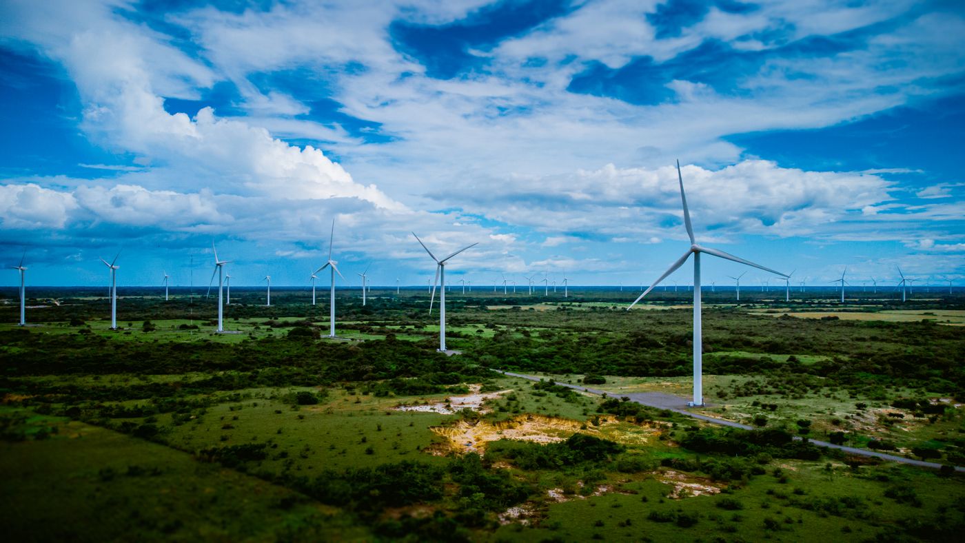 aerogeneradores repartidos por una llanura verde