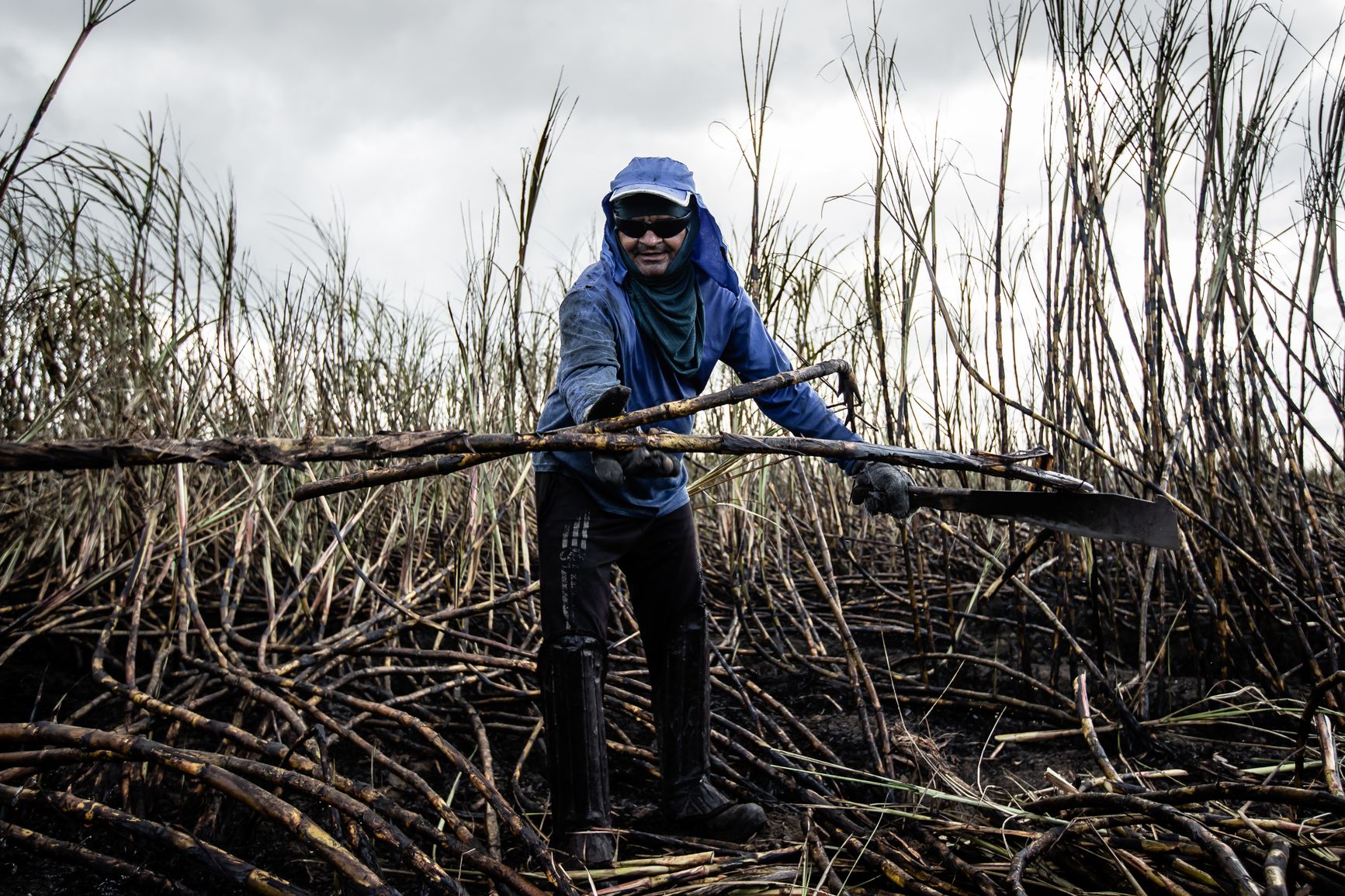 Mezclas: sustancias puras, tipos y métodos de separación en Ecuador