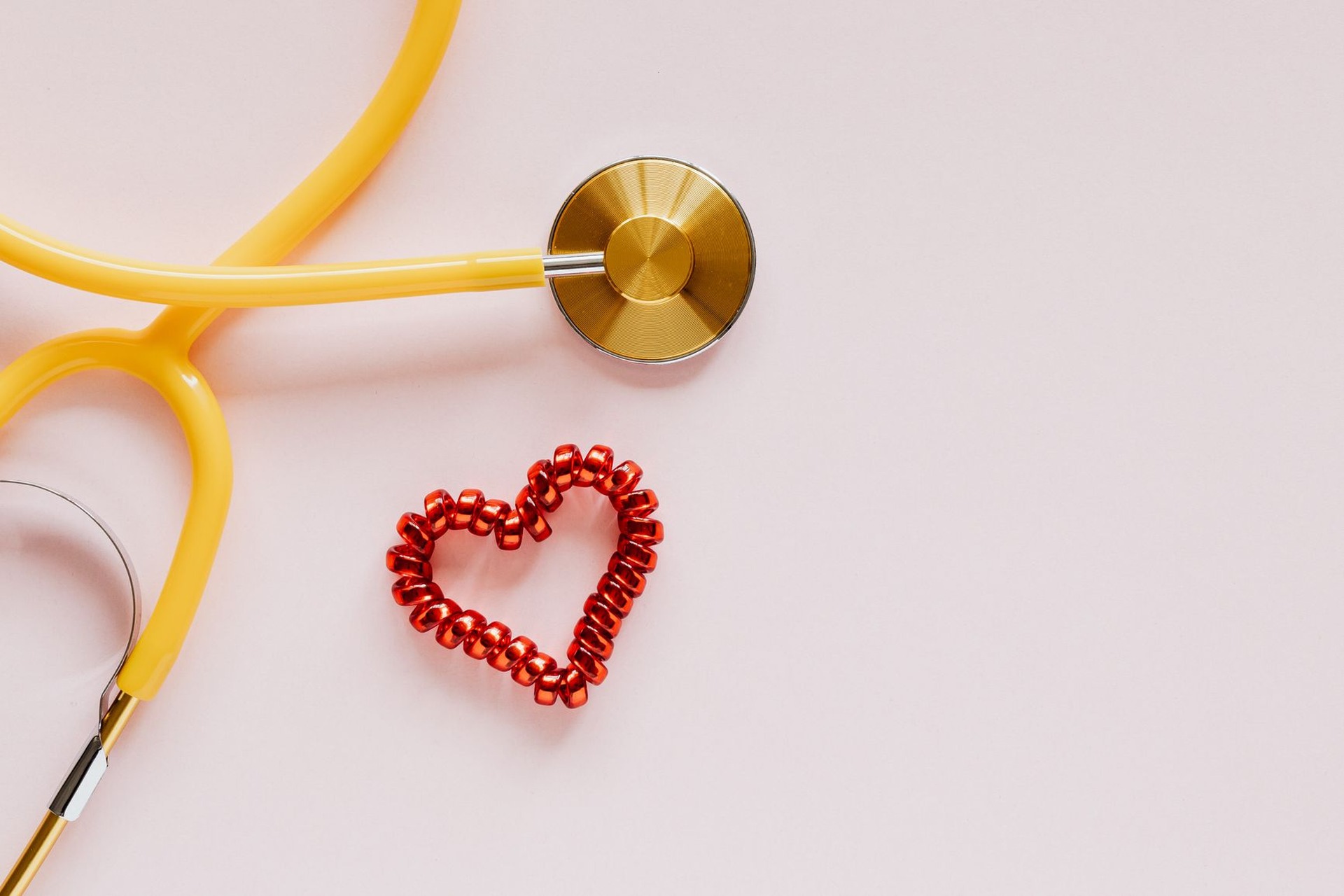 La circulación: el corazón, los vasos y la sangre