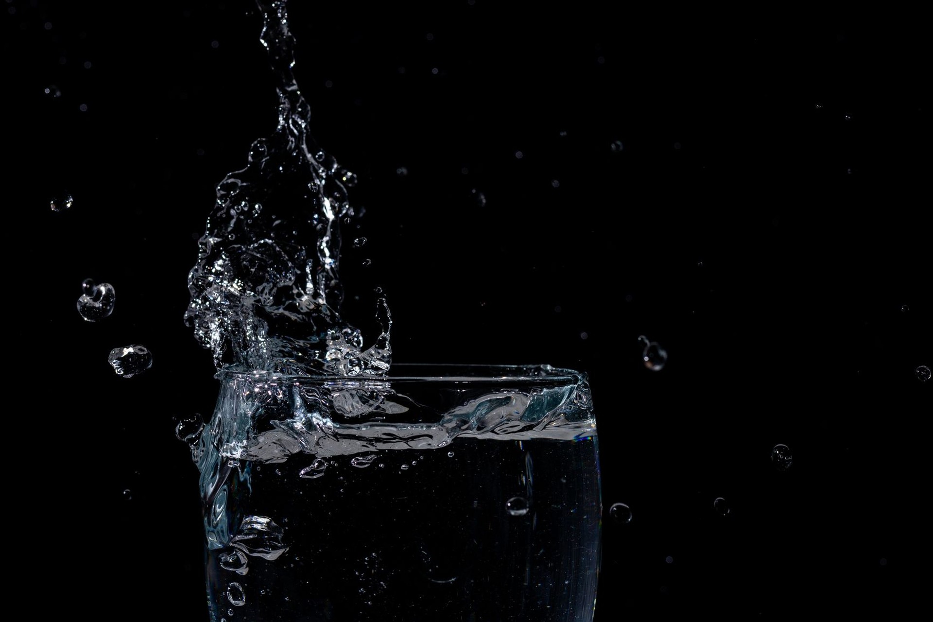 Los riñones: cómo filtran la sangre y producen la orina