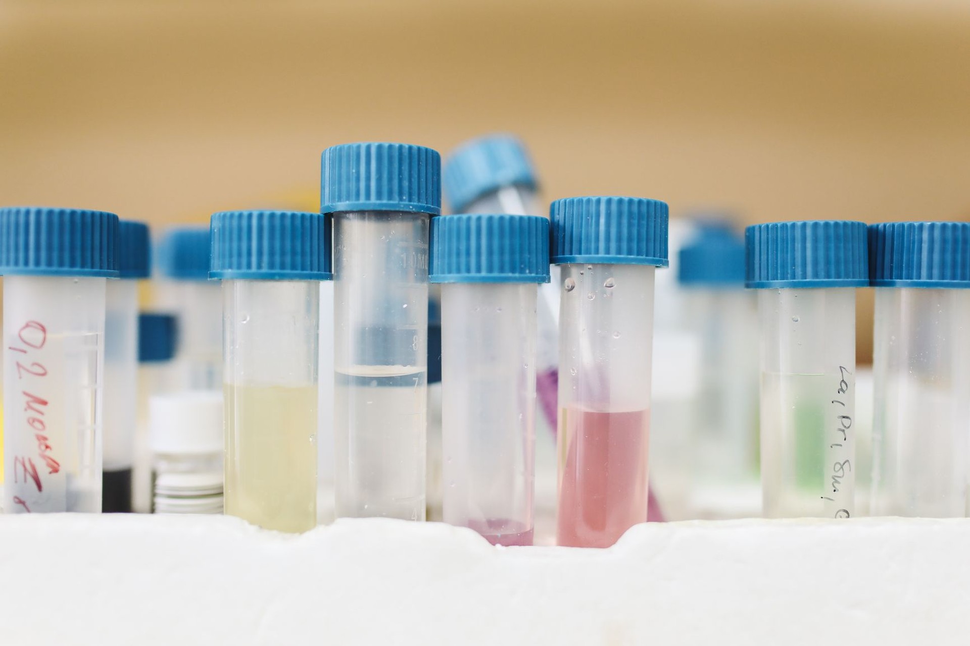 El sistema endocrino: cómo actúan las hormonas