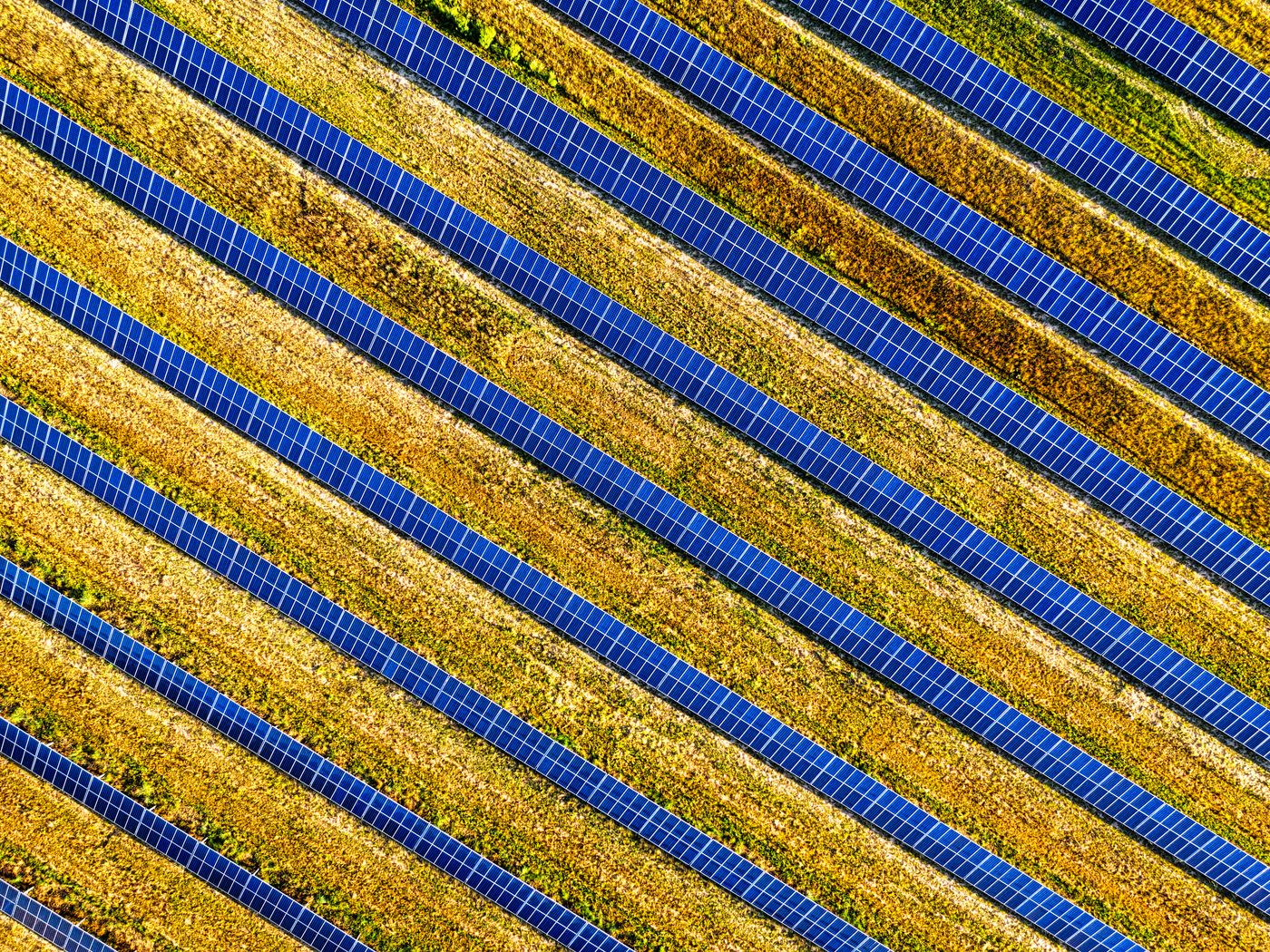 Vista aérea de una planta fotovoltaica con hileras de paneles azules sobre terreno árido, entre manchas dispersas de vegetación baja.