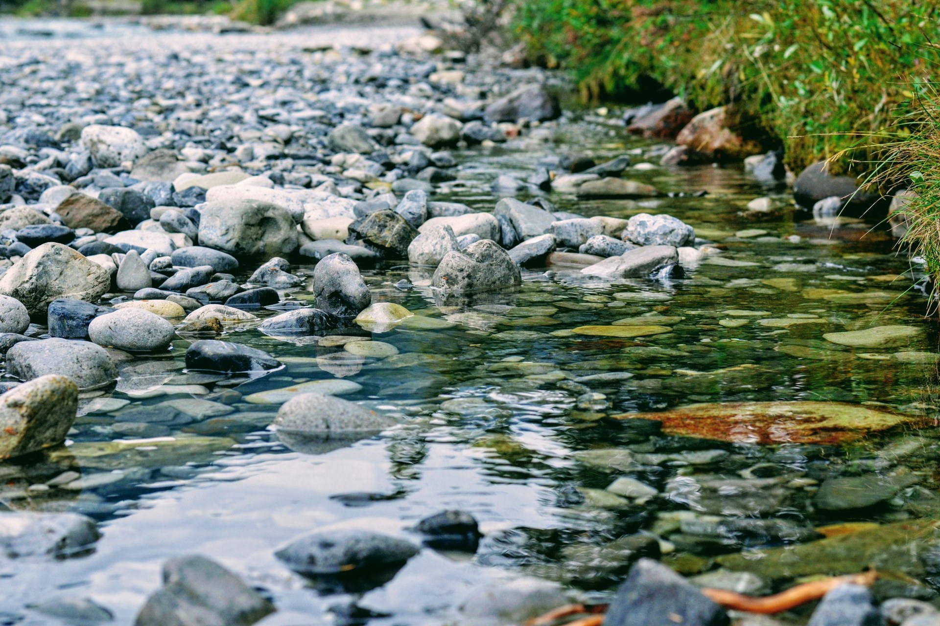 Arroyo de aguas claras que corre sobre un lecho de piedras redondeadas, con vegetación verde en la orilla derecha.