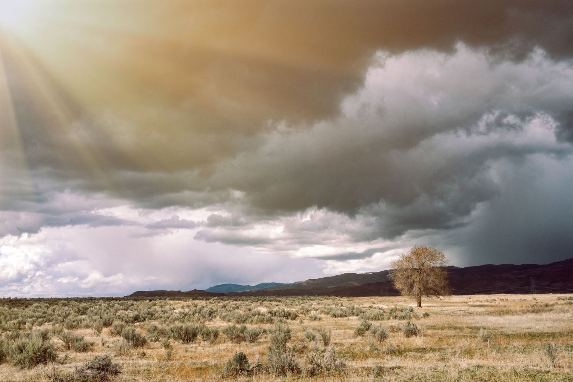 Llanura árida con matorrales secos y un árbol solitario, bajo un cielo de tormenta con una cortina de lluvia sobre la sierra del fondo.