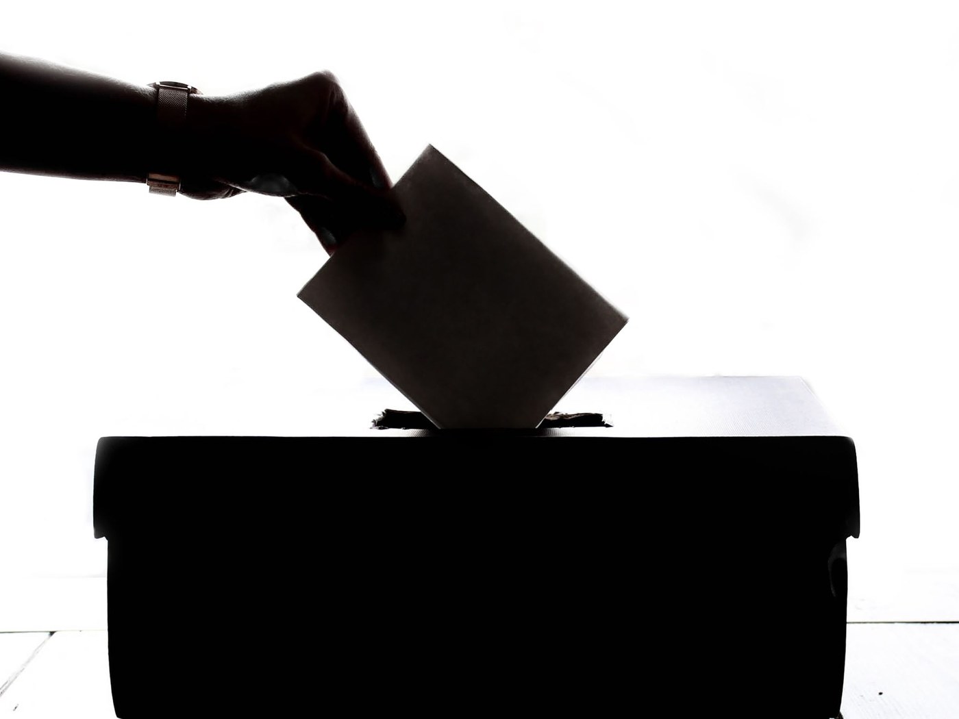 El Tribunal Supremo de Elecciones y la Organización del Voto